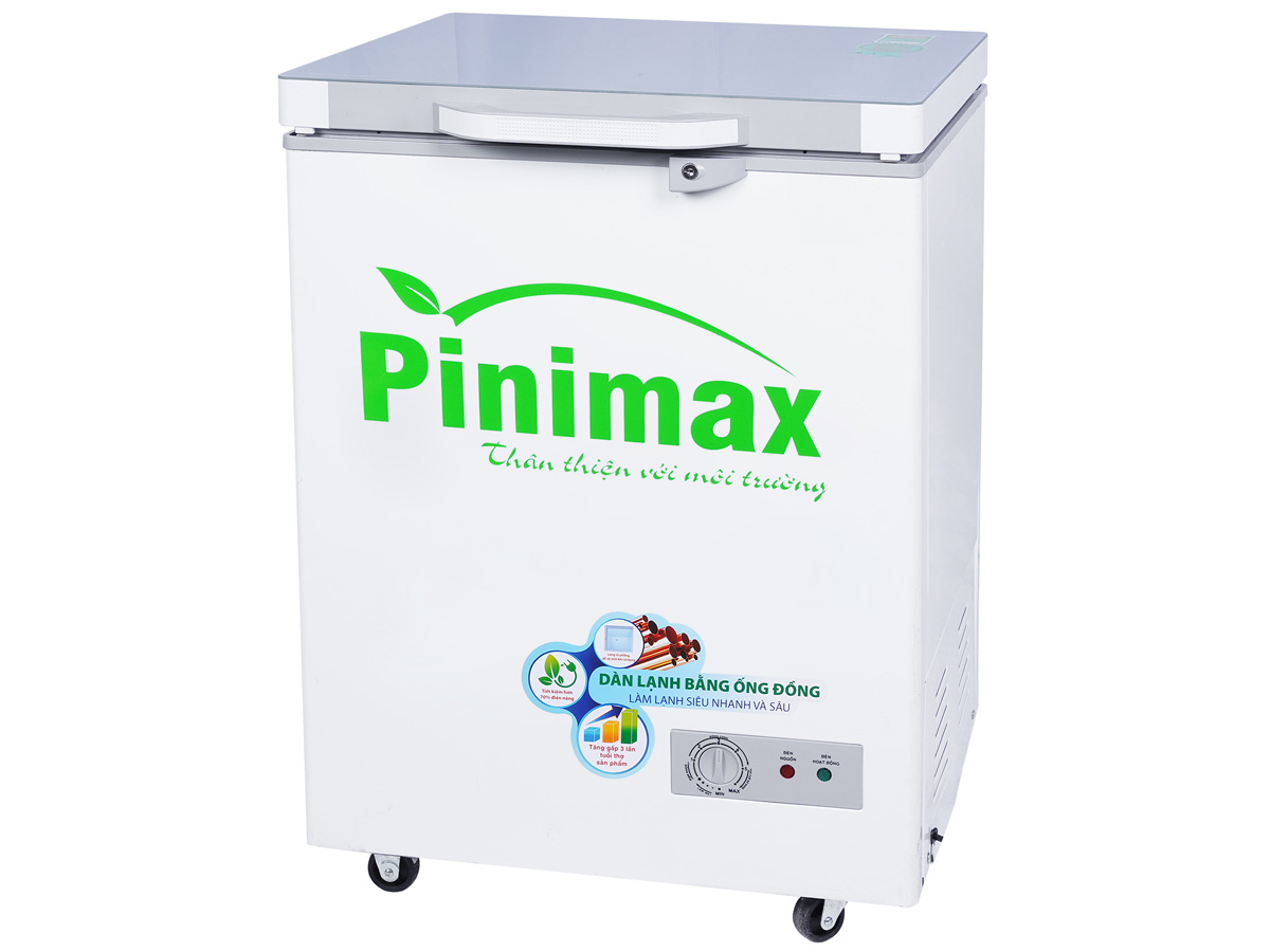 Tủ đông Pinimax PNM15AF