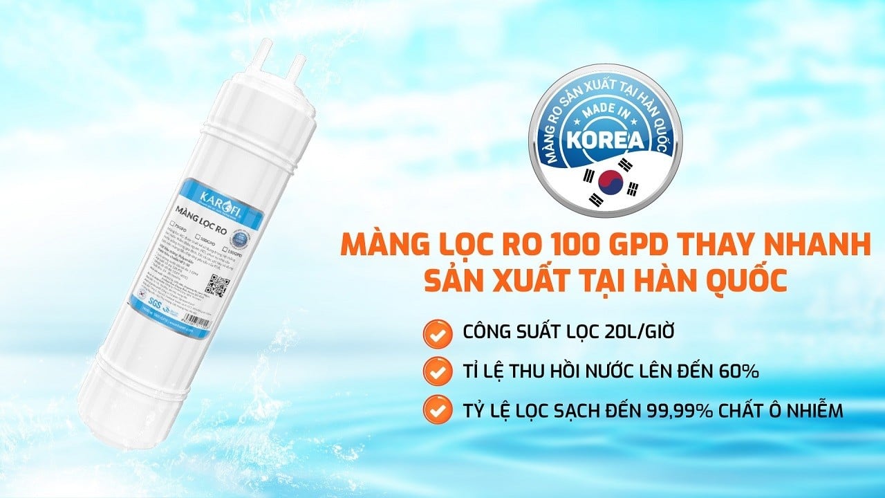 Màng RO của máy lọc nước RO Karofi Livotec 606S