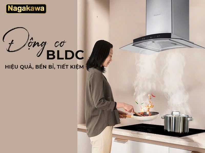 Động cơ BLDC không chổi than – Bền bỉ, êm ái và tiết kiệm năng lượng