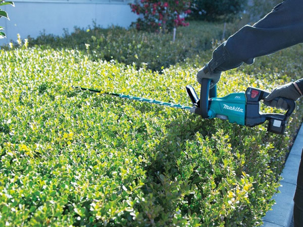 Máy tỉa hàng rào có lưỡi dài 75cm