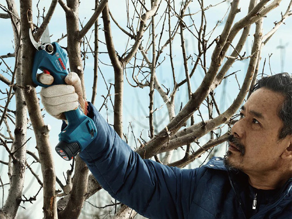 Cắt tỉa những vị trí khó tiếp cận