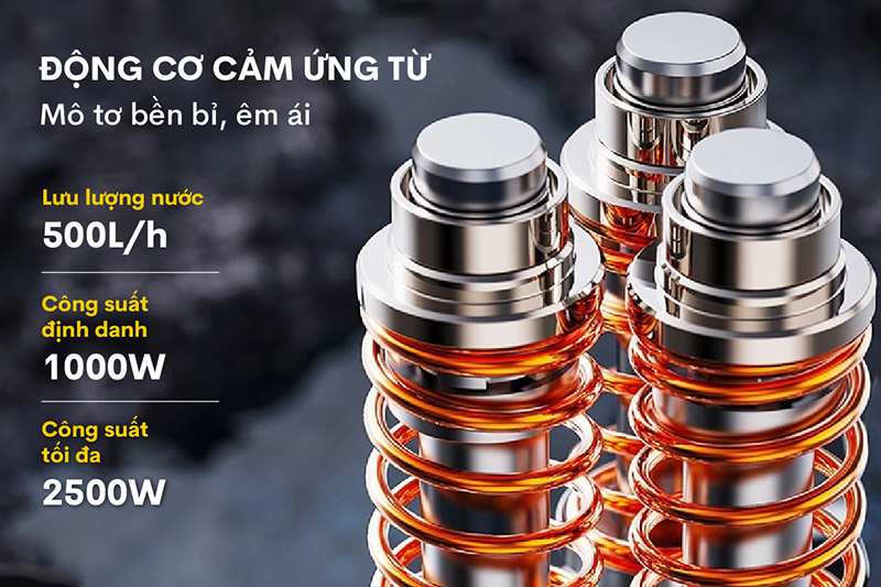 Động cơ cảm ứng từ