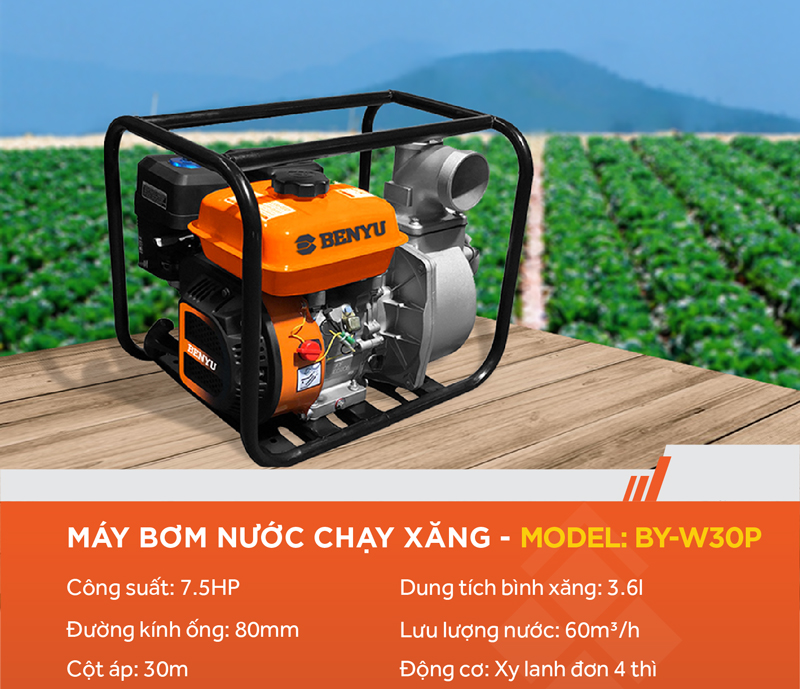 Máy bơm nước chạy xăng Benyu BY-WP30