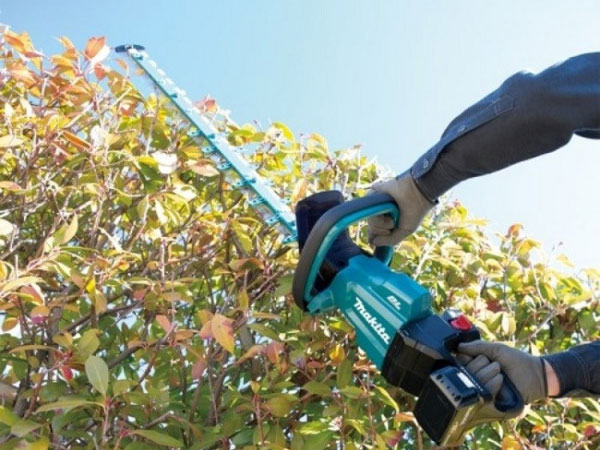 Máy tỉa hàng rào gọn nhẹ dễ thao tác