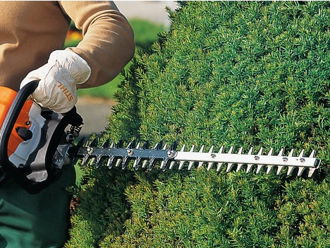 Máy cắt tỉa hàng rào rất nhanh