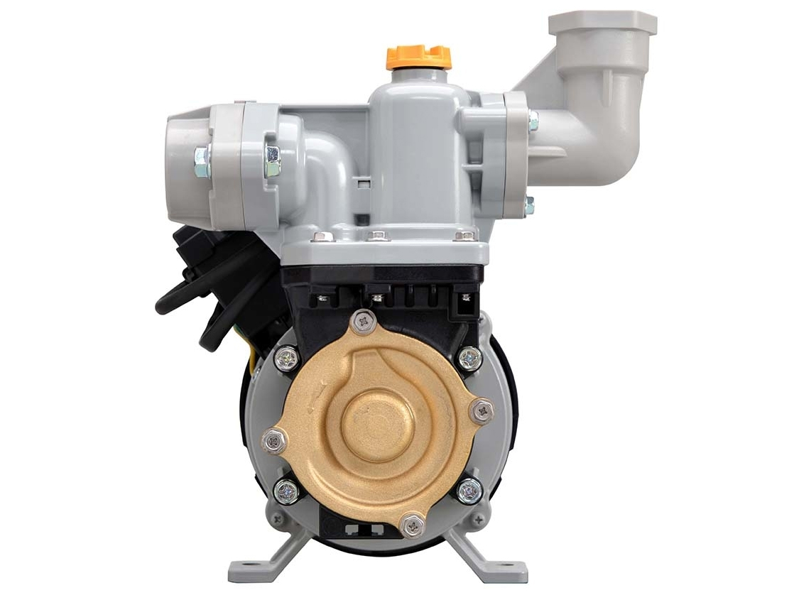 Máy bơm nước chân không 