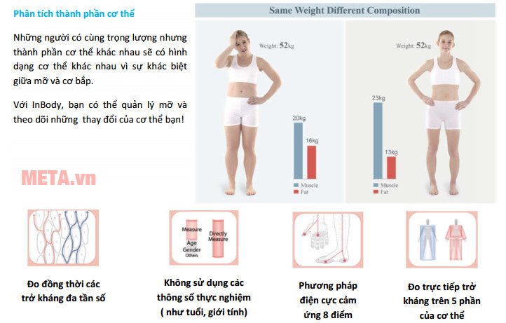 Phân tích thành phần cơ thể
