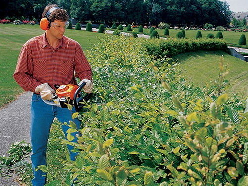 Máy cắt tỉa hàng rào Stihl HS45