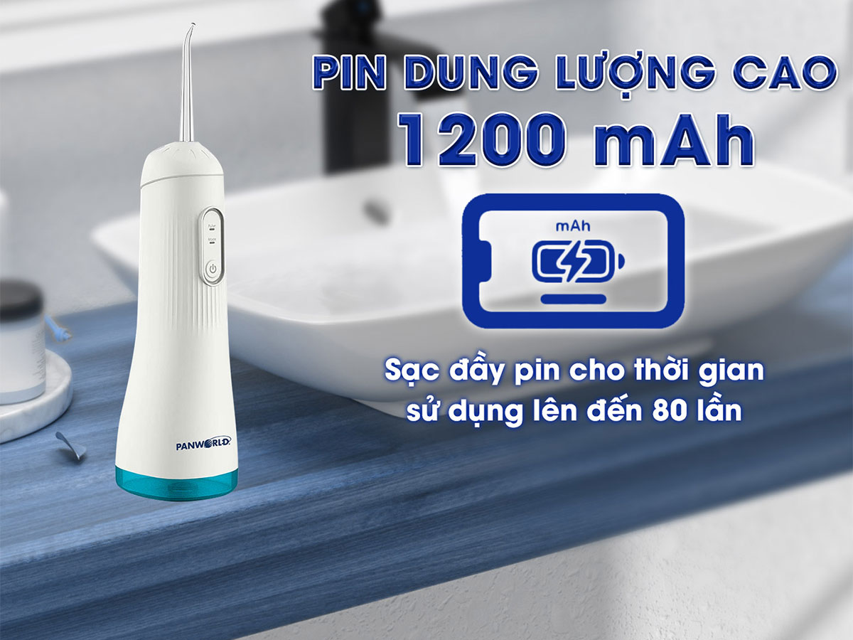 máy tăm nước cầm tay Panworld 