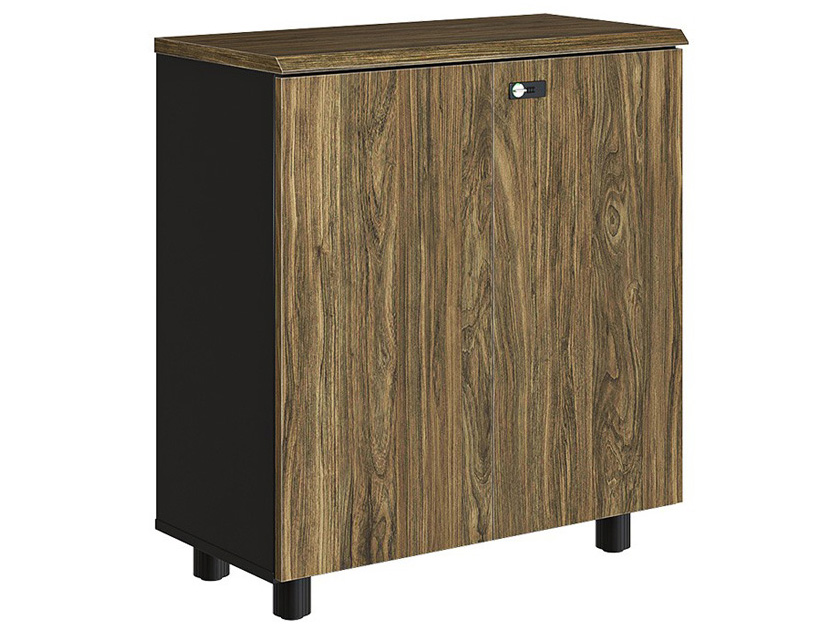 Tủ gỗ văn phòng có màu sắc tinh tế