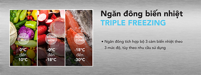 Có ngăn biến nhiệt Tripple Freezing