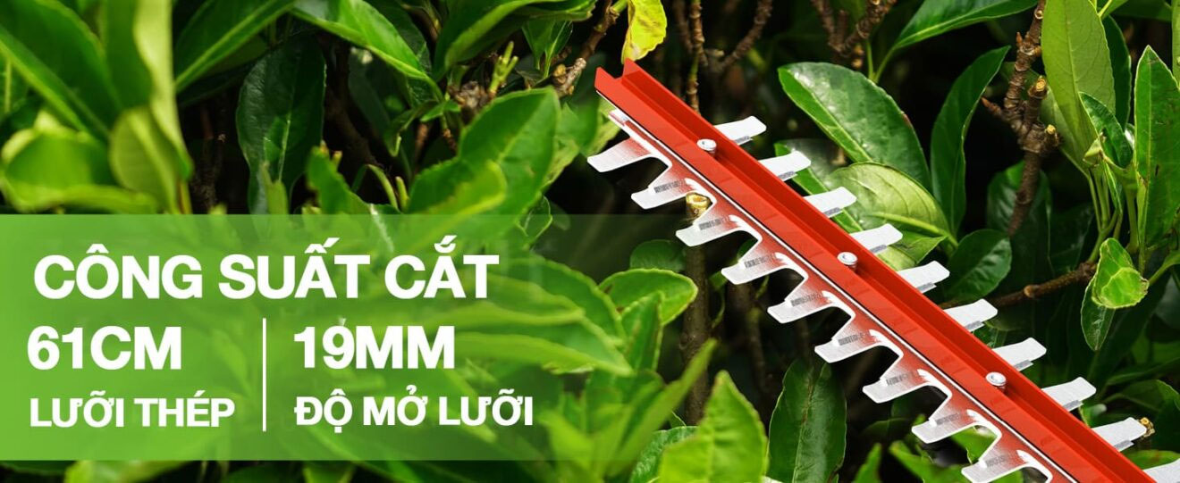 Lưỡi cắt của máy dài 61cm