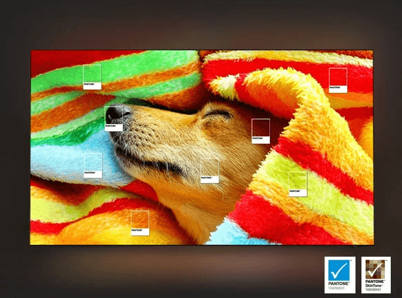 TV Samsung 75 inch QA75QN80FAKXXV ứng dụng công nghệ màu sắc chuẩn Pantone