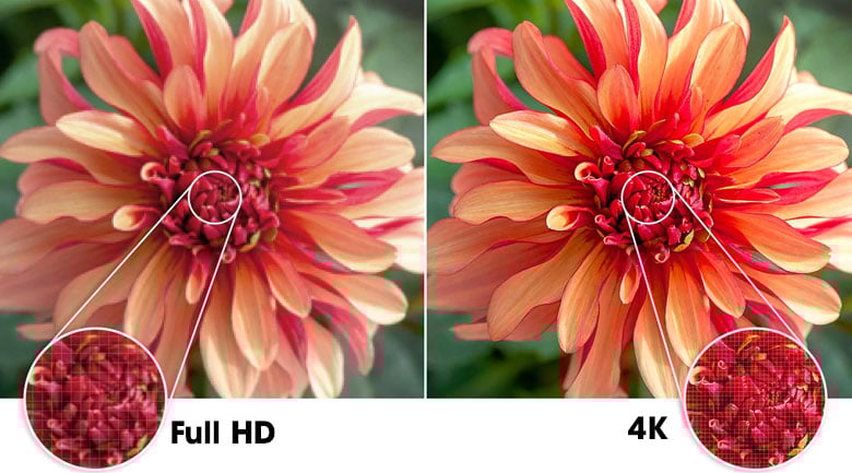 Độ phân giải 4K cho hình ảnh sắc nét