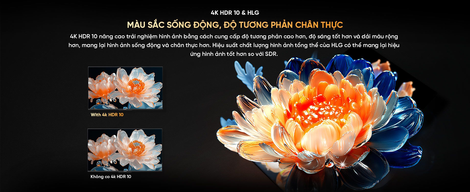 Chất lượng hình ảnh đỉnh cao với độ phân giải 4K Ultra HD