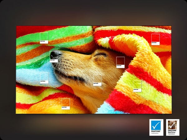 Smart tivi Samsung Neo QLED 4K 55 inch QA55QN80FAKXXV Vision AI đạt chứng nhận màu sắc Pantone