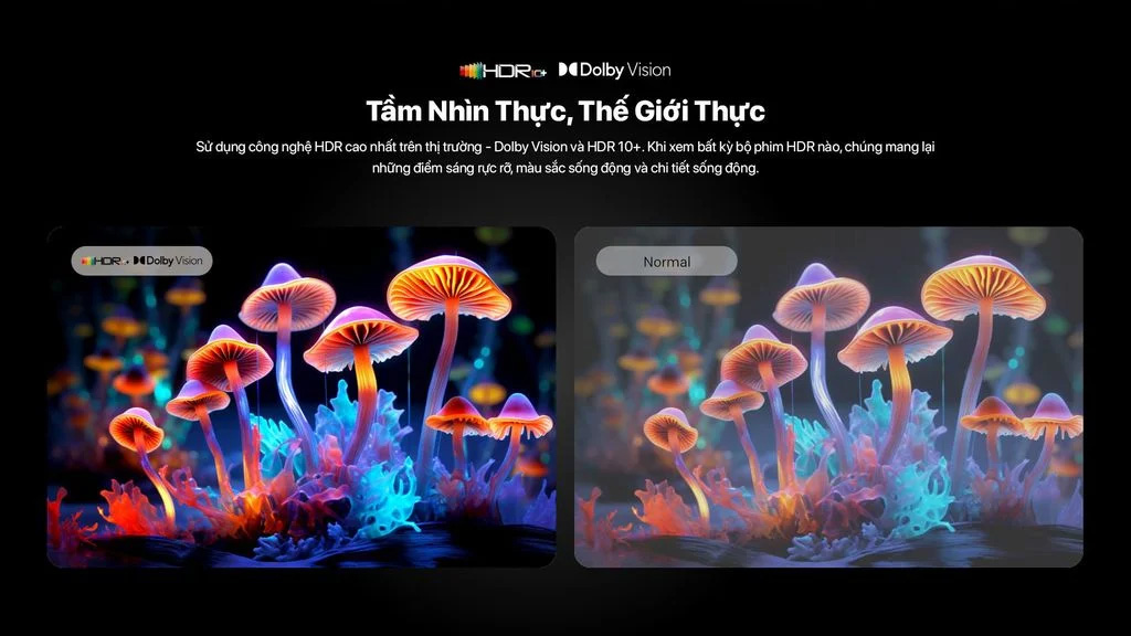 Hình ảnh chân thực với HDR10+ và Dolby Vision