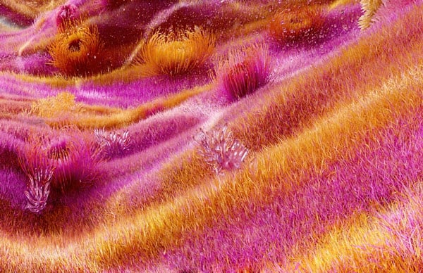 Smart tivi Samsung Neo QLED 4K 75 inch QA75QN90FAKXXV Vision AI cho hình ảnh rõ nét