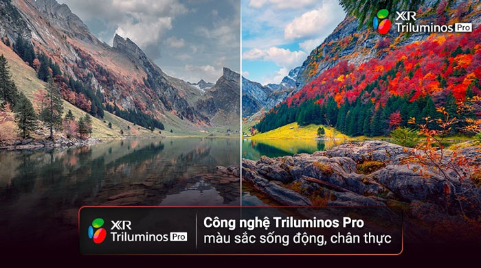 Công nghệ tăng cường màu sắc XR Triluminos Pro