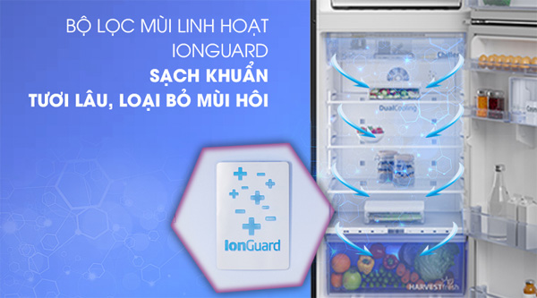 Tủ lạnh Beko Inverter RDNT401E50VZGB được ứng dụng công nghệ ION Guard có khả năng khử mùi, vi khuẩn hiệu quả