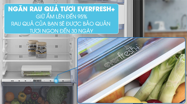 Tủ lạnh RDNT401E50VZGB được trang bị ngăn trái cây, rau củ EverFresh+