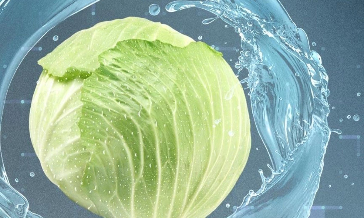 Công nghệ Plasmacluster Ion – Diệt khuẩn, khử mùi hiệu quả, bảo vệ sức khỏe gia đình