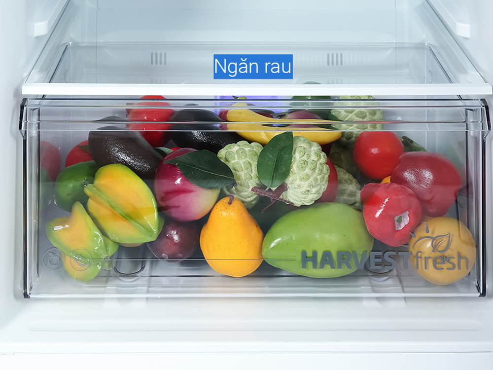 Beko RDNT371I50VK có ngăn rau củ bảo quản tươi lâu hơn