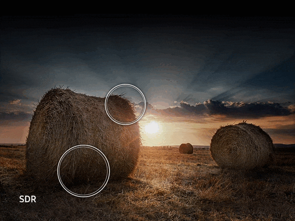 Công nghệ Quantum HDR và HDR10+ tăng cường độ tương phản cho hình ảnh