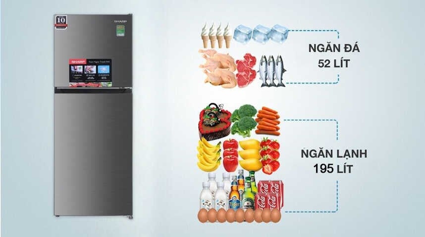 Dung tích 262 lít – Lựa chọn lý tưởng cho gia đình 2 – 3 thành viên