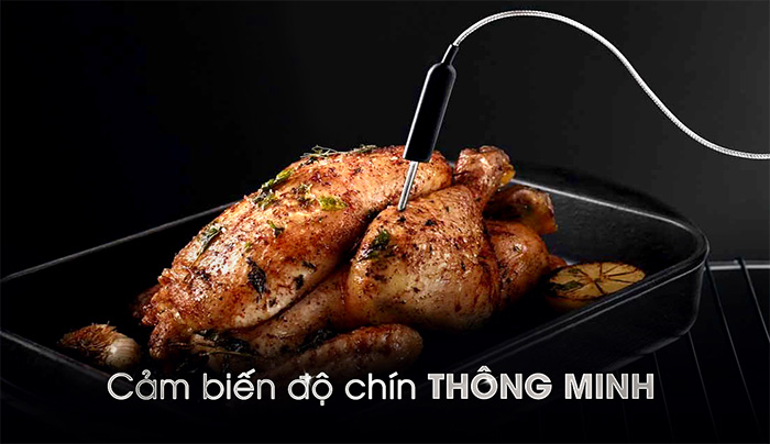 Lò đi kèm que dò nhiệt