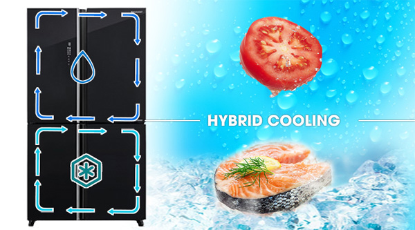 Tủ lạnh 4 cánh Sharp SJ-FXP640VG-BK được tích hợp hệ thống làm lạnh kép Hybrid Cooling