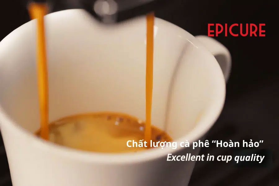 Máy pha cà phê gia đình pha được 2 tách cà phê espresso cùng lúc