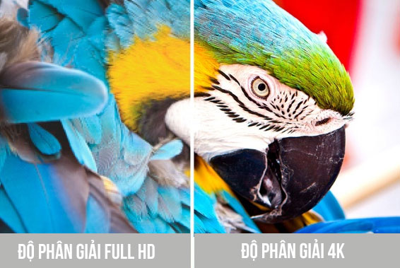 Hình ảnh siêu thực nhờ độ phân giải 4K