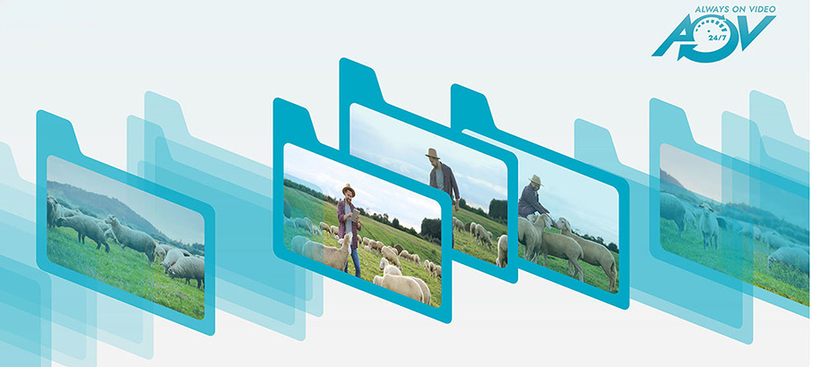 Camera 4G dùng cho vùng không có wifi