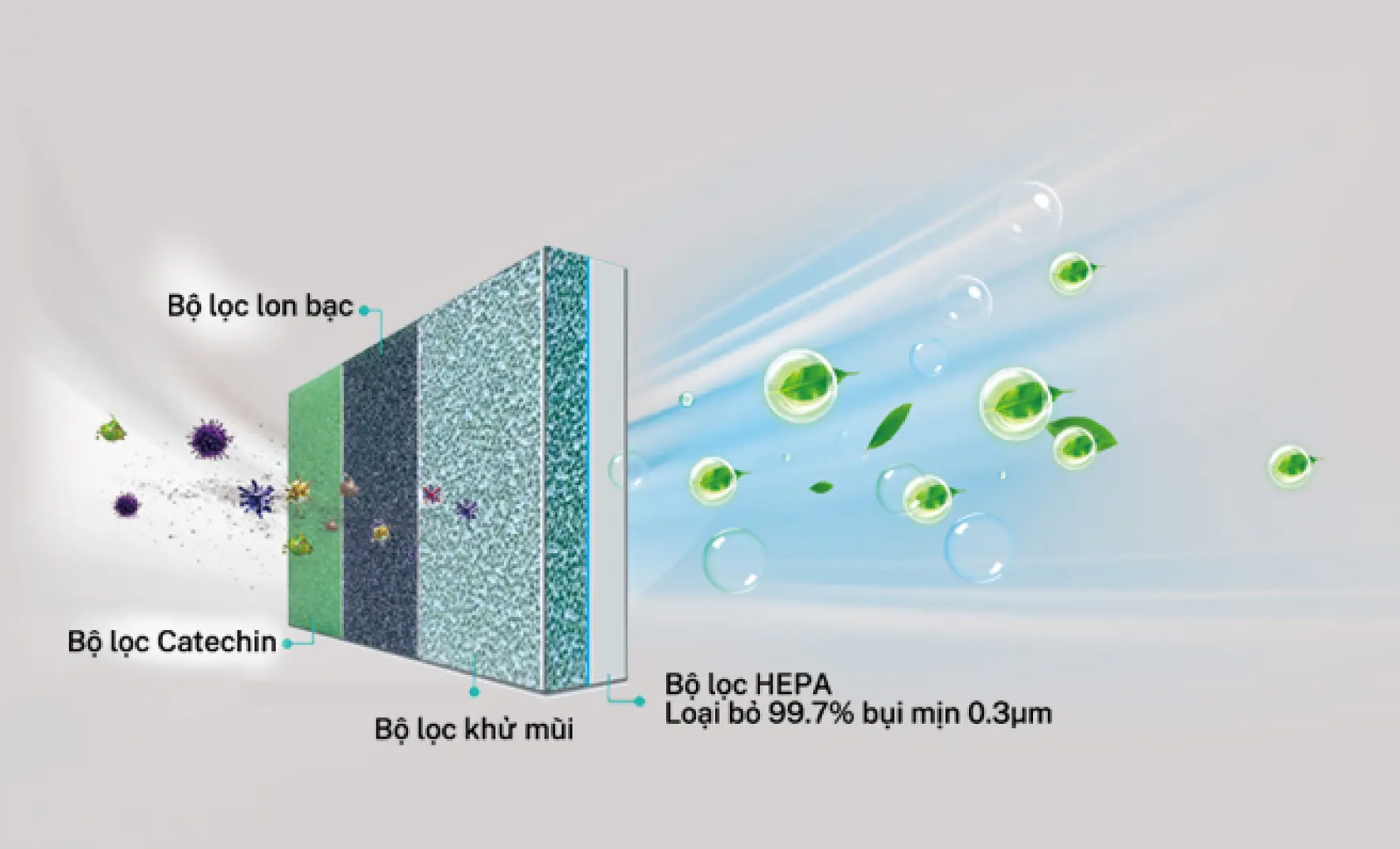 Bộ lọc 4 trong 1 – Bảo vệ sức khỏe toàn diện