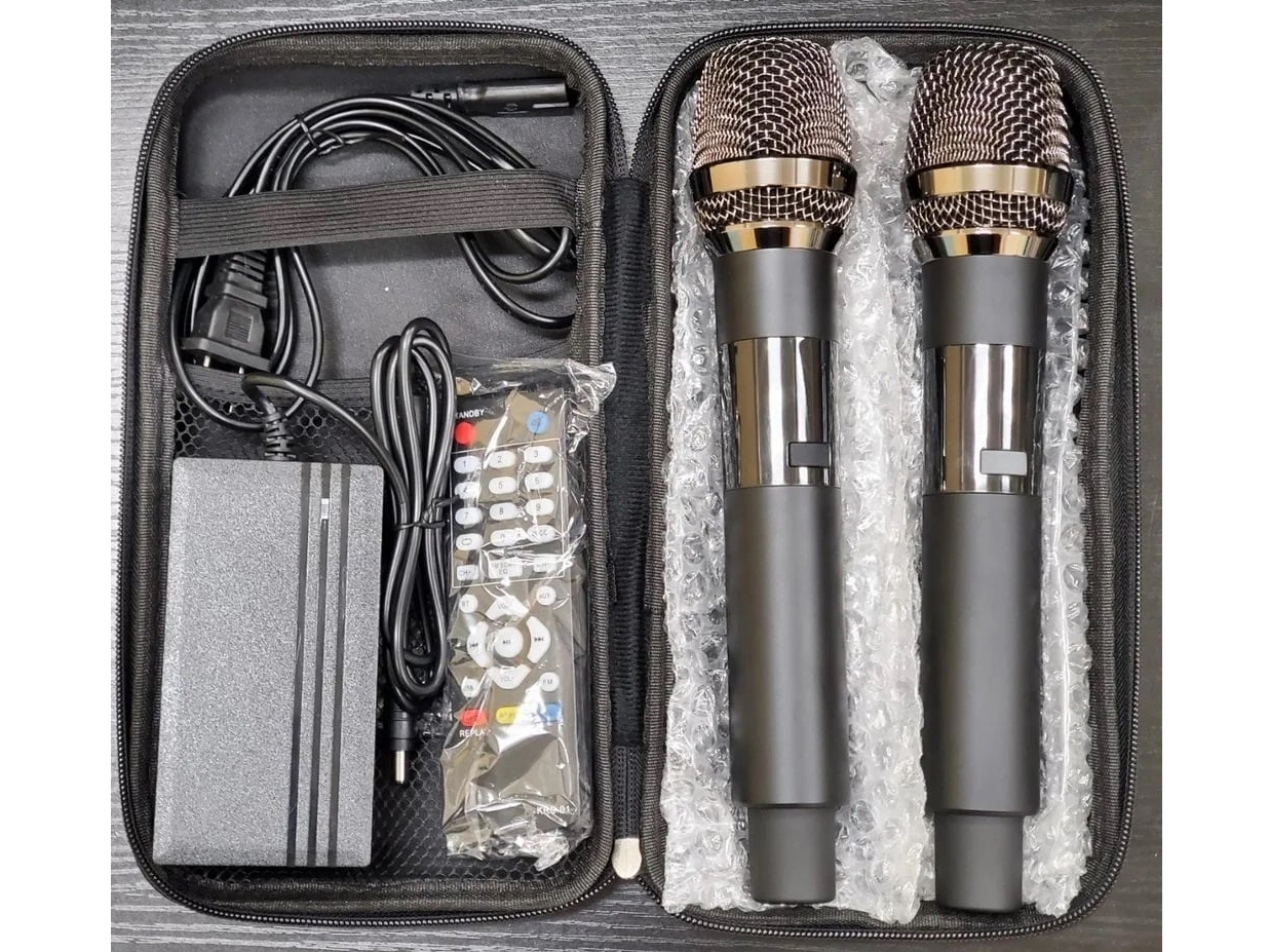 Loa karaoke xách tay có 2 micro không dây