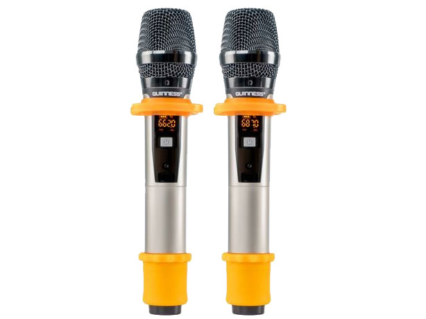 Loa di động Guinness kèm 2 micro không dây