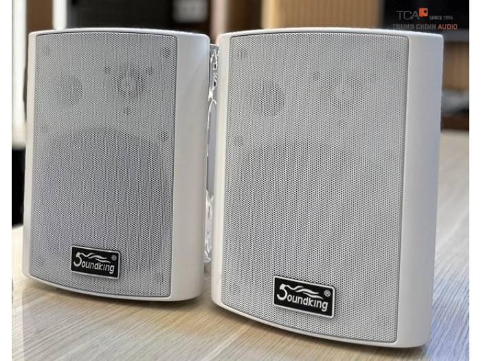Soundking SX35W/B có công suất tối đa 30W